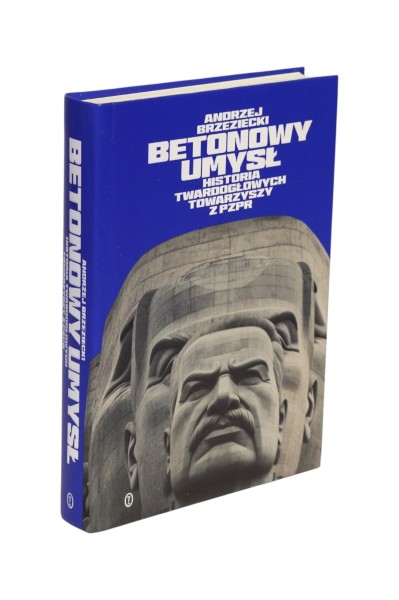 Betonowy umysł Brzeziecki
