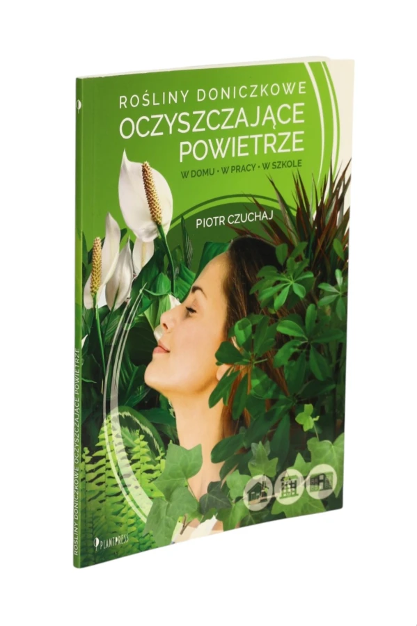 Rośliny doniczkowe oczyszczające powietrze Czuchaj
