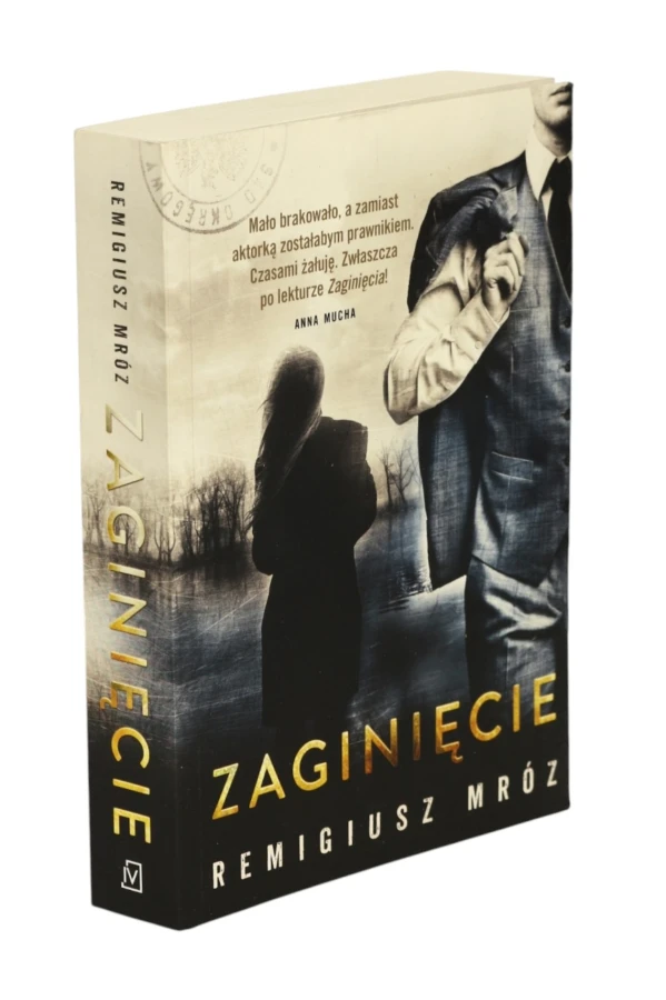 Mróz  Chyłka - Zaginięcie