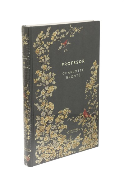 Profesor Charlotte Bronte Ponadczasowe powieści Nr 15