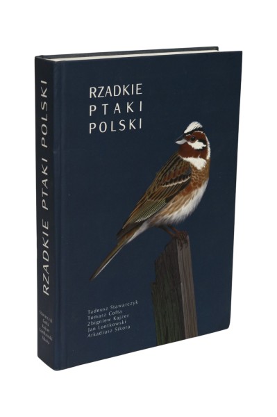 Rzadkie ptaki Polski Stawarczyk
