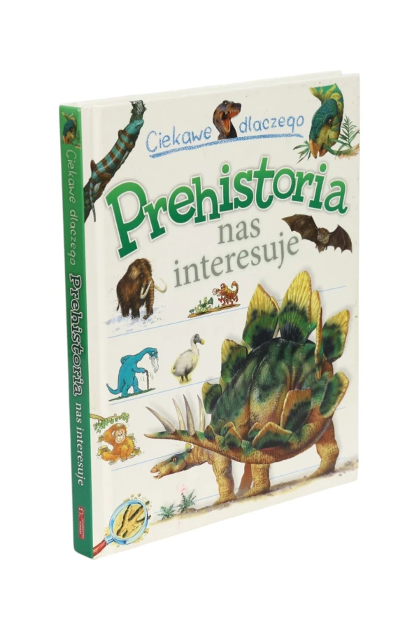 Ciekawe dlaczego Prehistoria nas interesuje