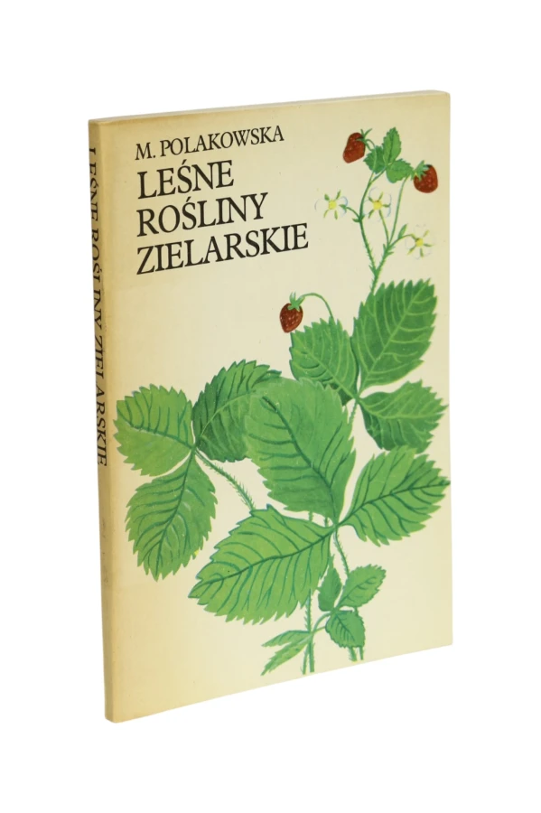 Leśne rośliny zielarskie Polakowska
