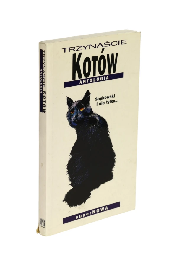 Trzynaście kotów Antologia