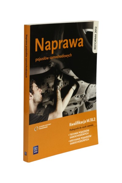 Naprawa pojazdów samochodowych Orzełowski