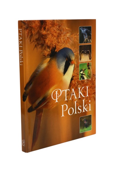 Ptaki Polski Karolina Matoga