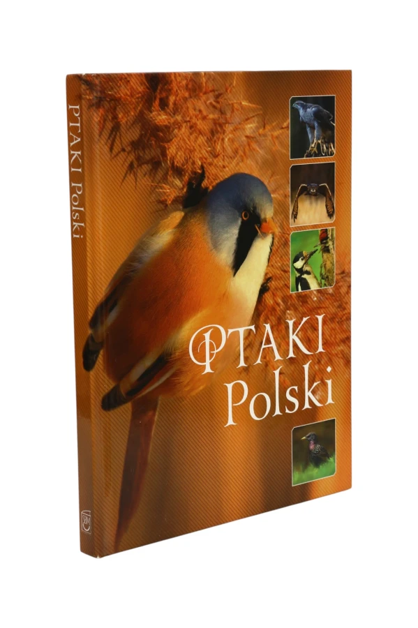 Ptaki Polski Karolina Matoga
