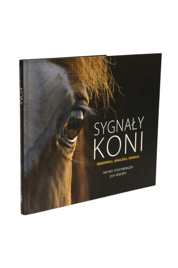 Sygnały koni Steenbergen