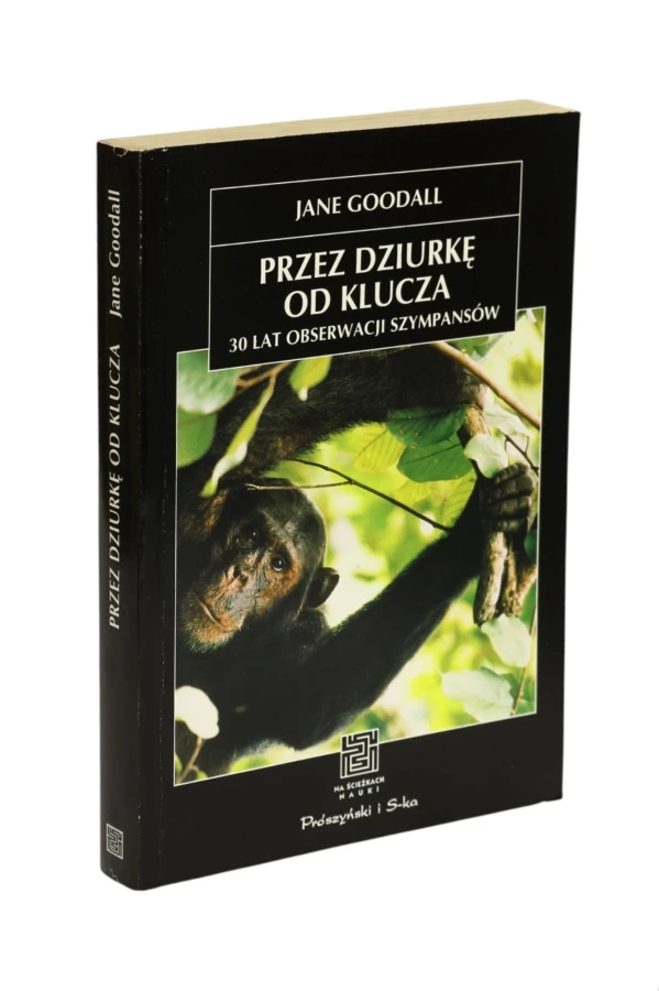 Przez dziurkę od klucza Googall