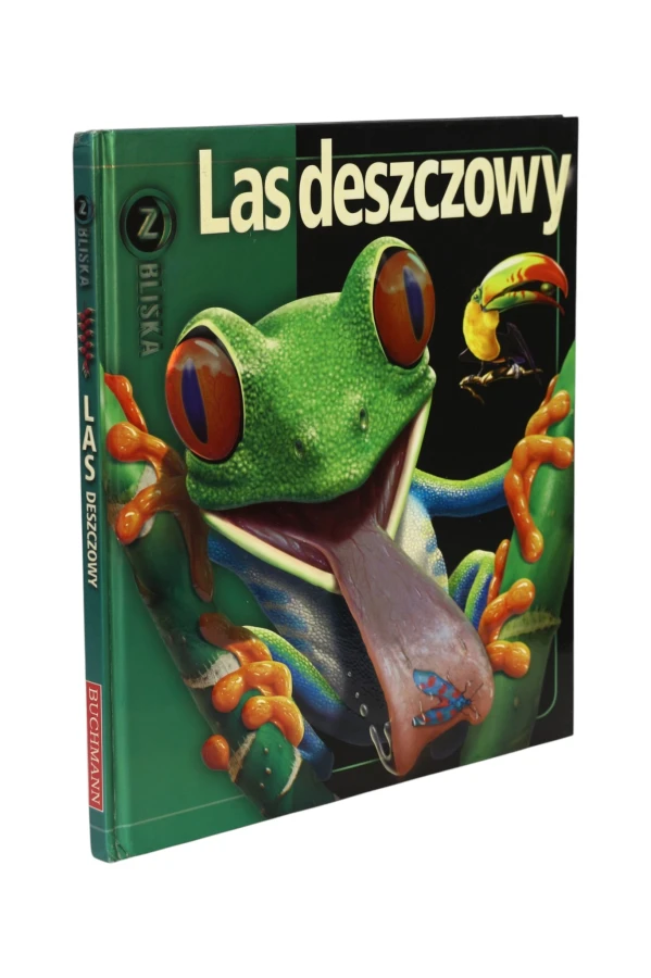 Seria z bliska Las deszczowy