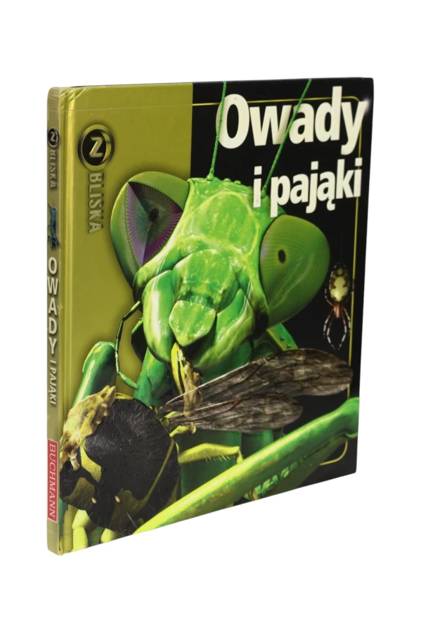 Seria z bliska Owady i pająki
