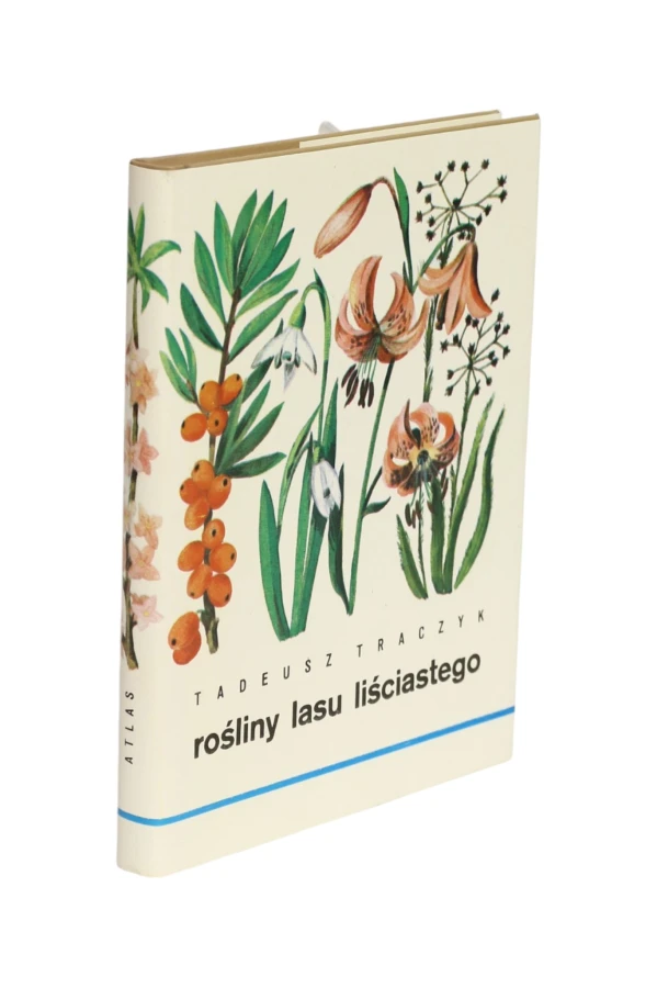 Rośliny lasu liściastego Traczyk
