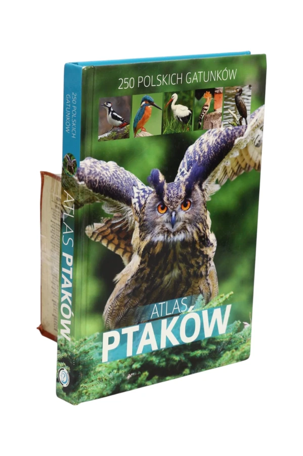 Atlas ptaków 250 polskich gatunków
