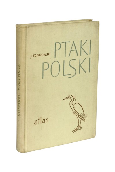 Ptaki Polski Atlas Sokołowski