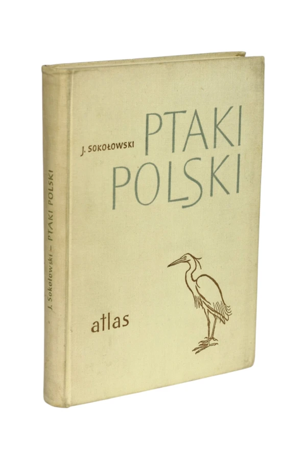 Ptaki Polski Atlas Sokołowski
