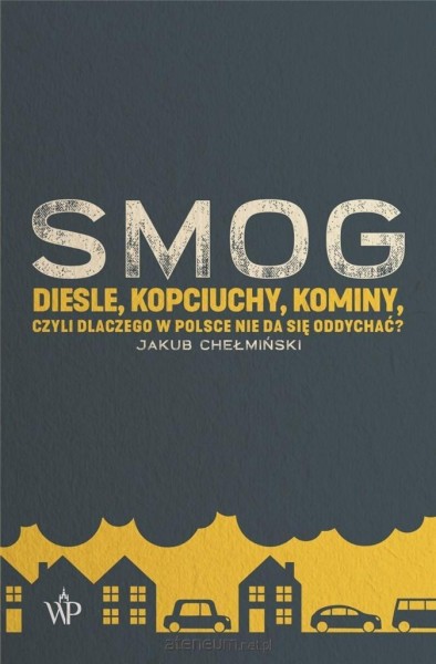 Smog Diesle, Kopciuchy , Kominy Chełmiński