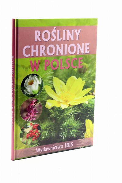 Rośliny chronione w Polsce Sieńko Holewa